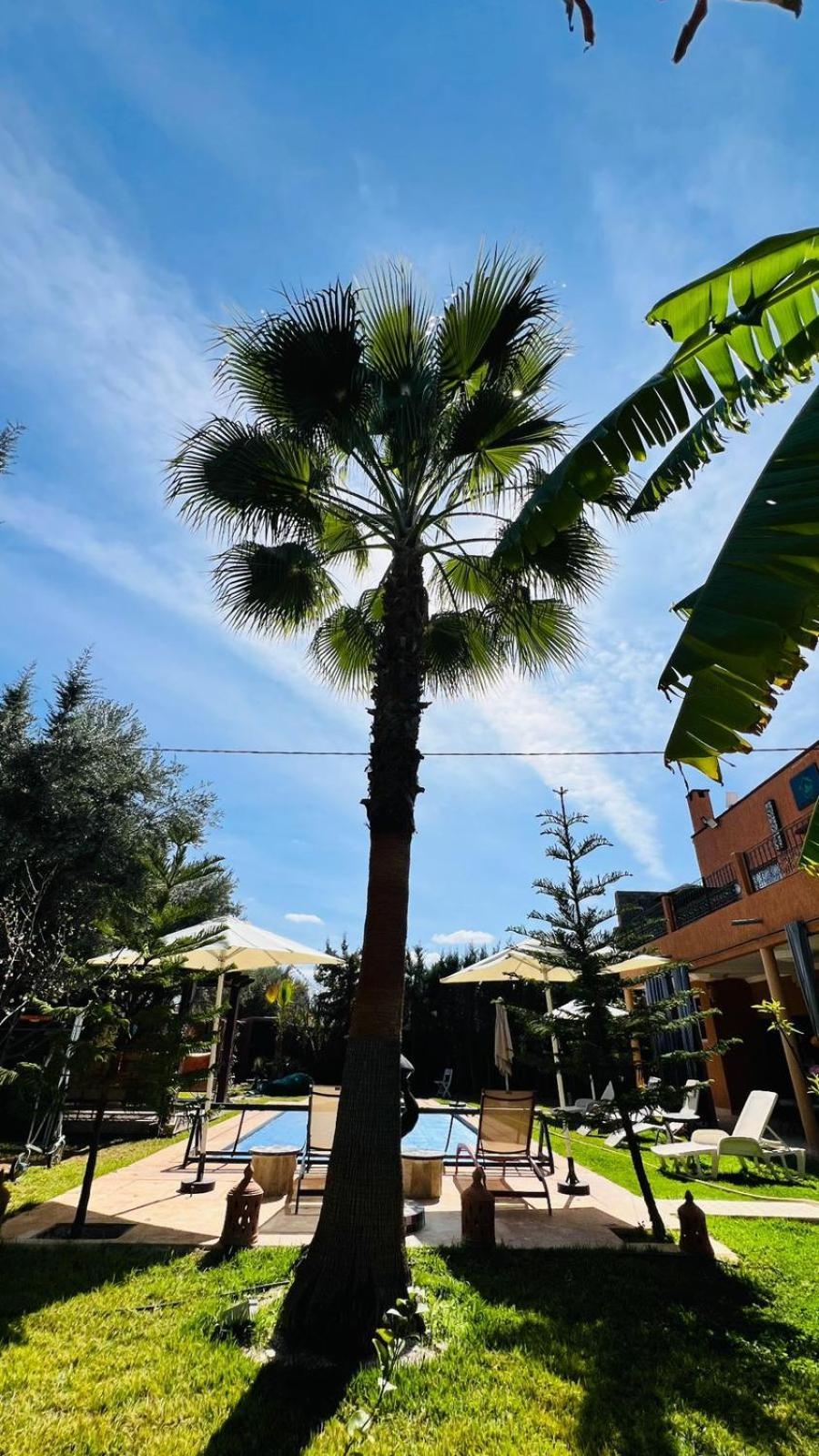 Ilafe Farmhouse, Villa Avec Piscine Chauffee Privee Et Jacuzzi Pour Familles Marrakesz Zewnętrze zdjęcie